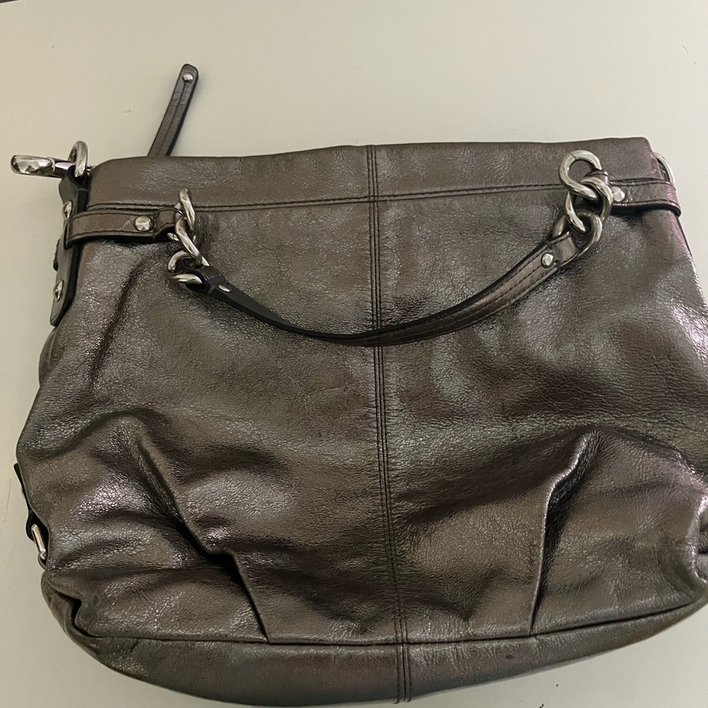Metallic purse